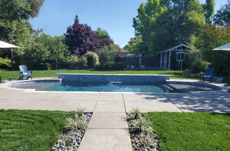 Grecian shape custom gunite pool built by Cookie Cutter Pools