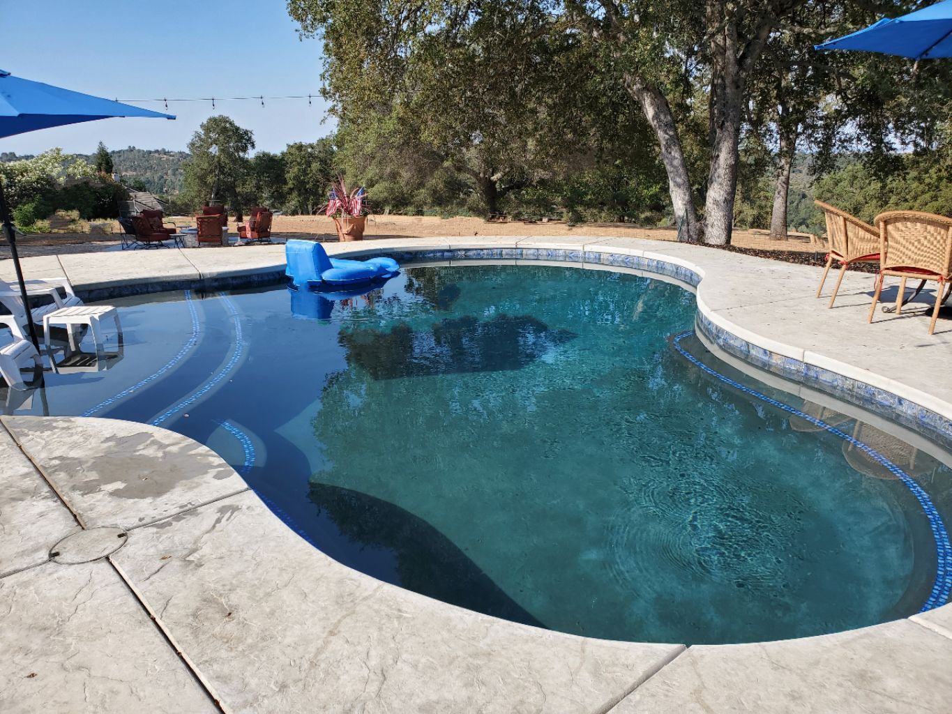 Freeform shaped pool approx. 550 square feet with a large Cabo shelf and long sitting bench with trim tile.
