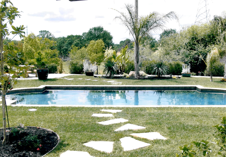 Grecian shaped pool approximately 400 square feet with bricke coping surrounded by grass and a stone walkway and palm tree.