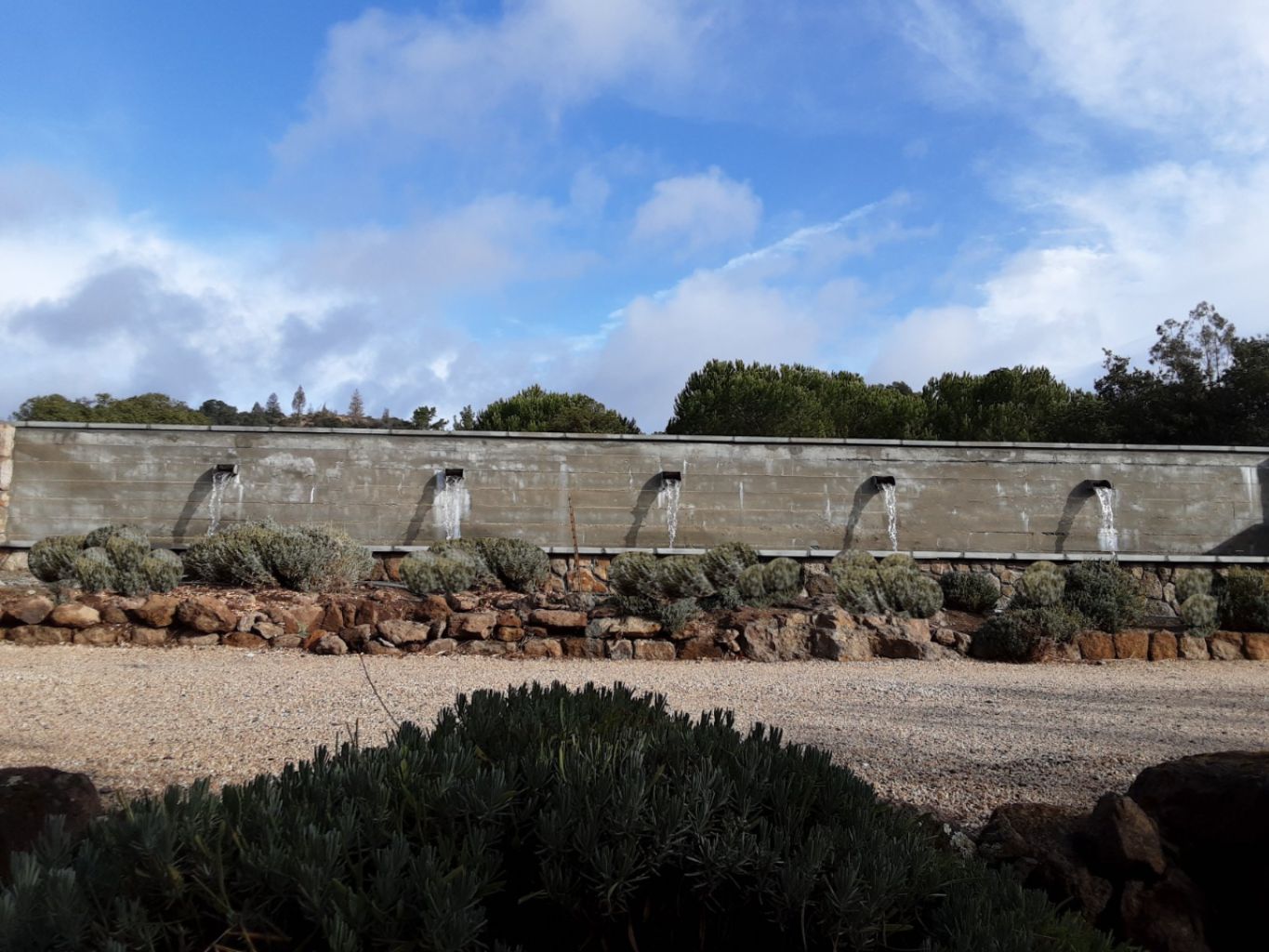 Raised pool with scupper water features in the Wine Country