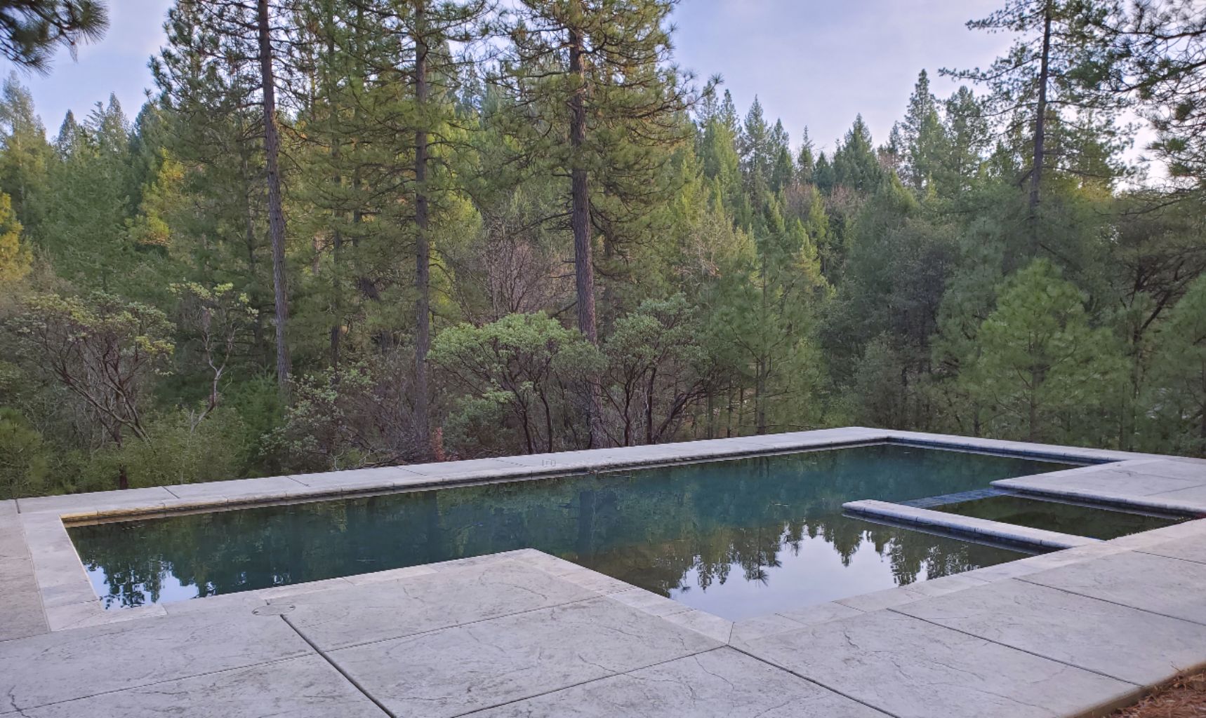 Rectangular shaped pool with larged bumped out Cabo shelf and spa with views of pine trees on sloped lot in Northern California.