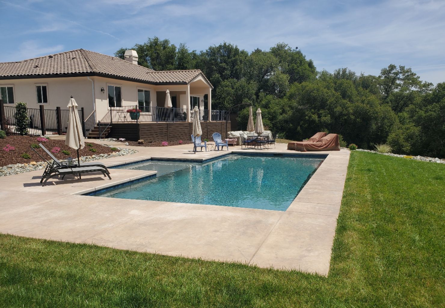 Rectangular shaped pool with larged bumped out Cabo shelf wtih concrete decking and grass next to a house on a sloped lot.