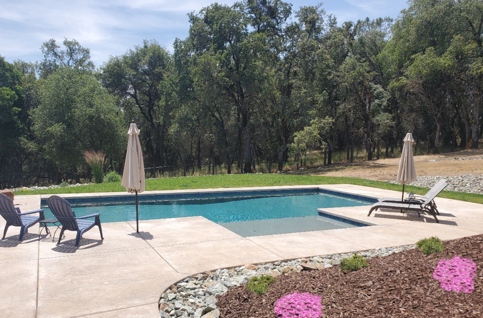 Rectangular shaped pool with larged bumped out Cabo shelf wtih concrete decking and grass.