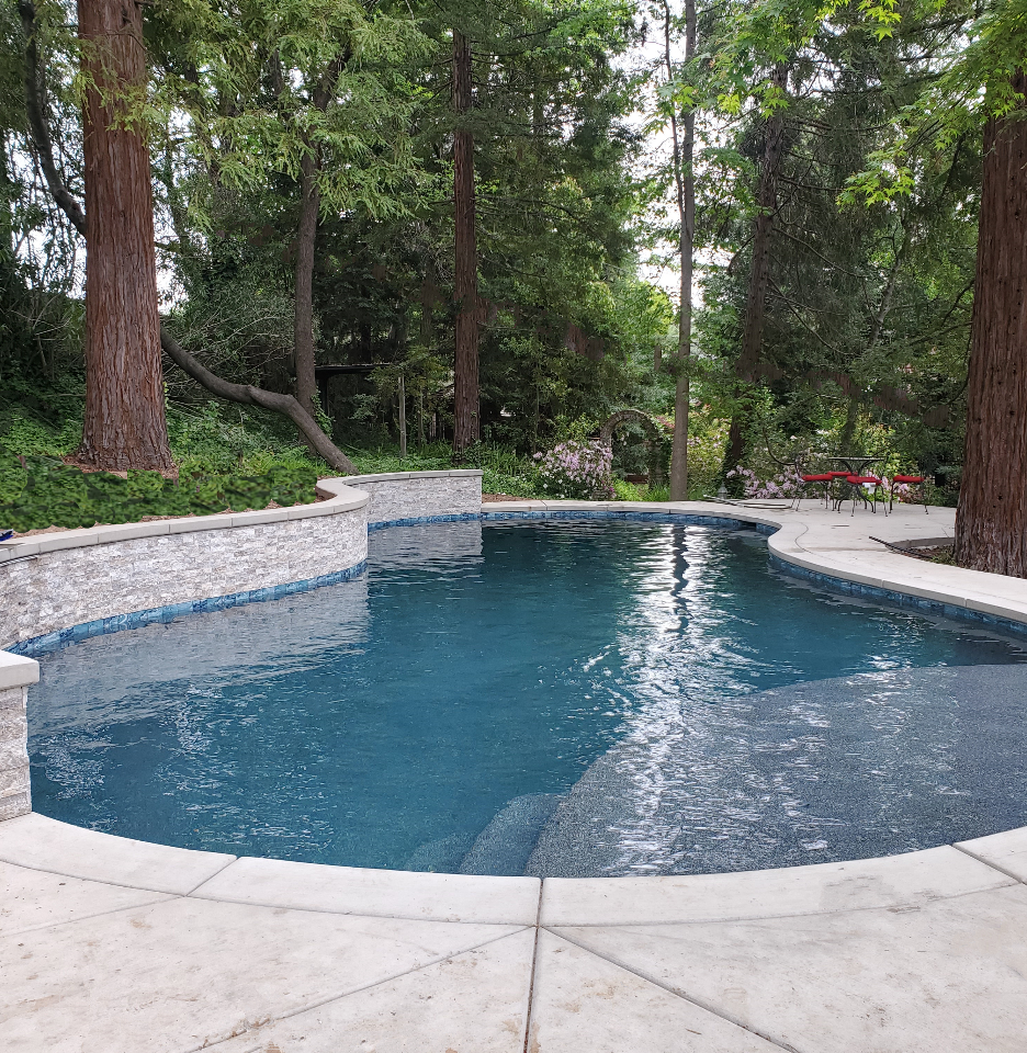 Freeform shaped pool with raised ledgerstone wall wtih large Cabo shelf surrounded by pine trees.