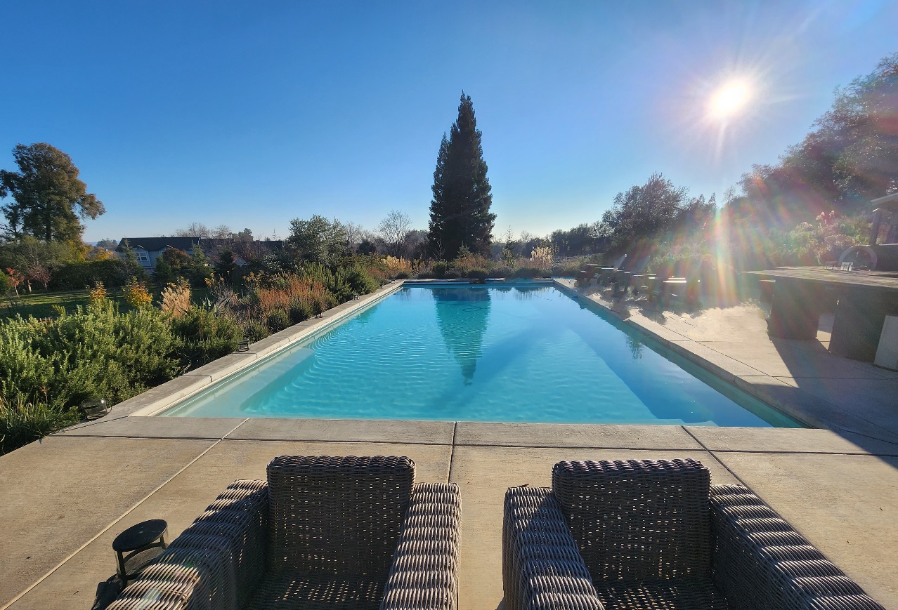 Backyard pool deck with trees and landscaping