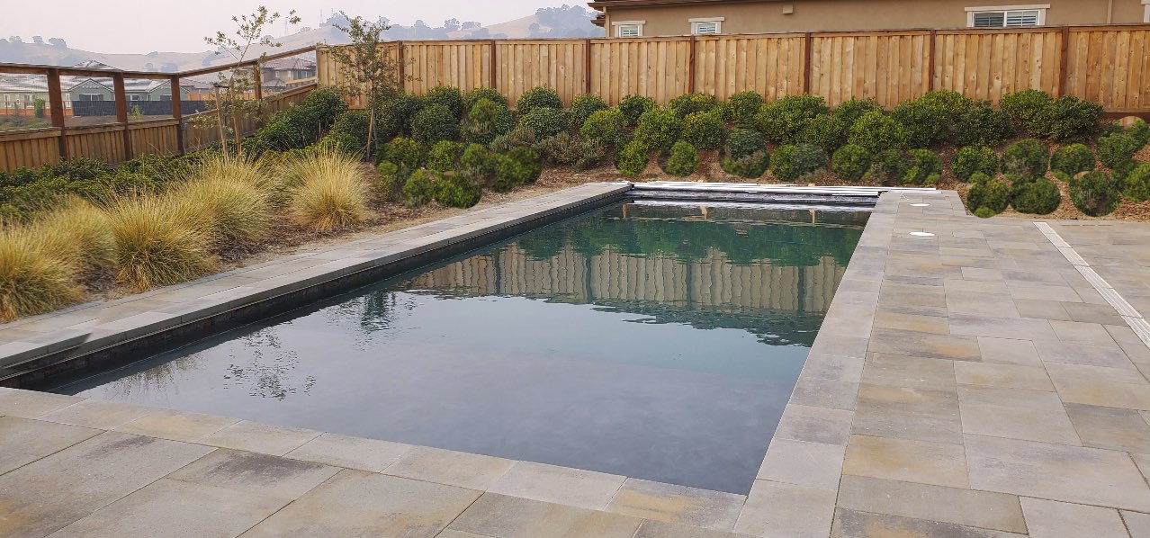Rectangular pool with stone coping and manicured landscaping